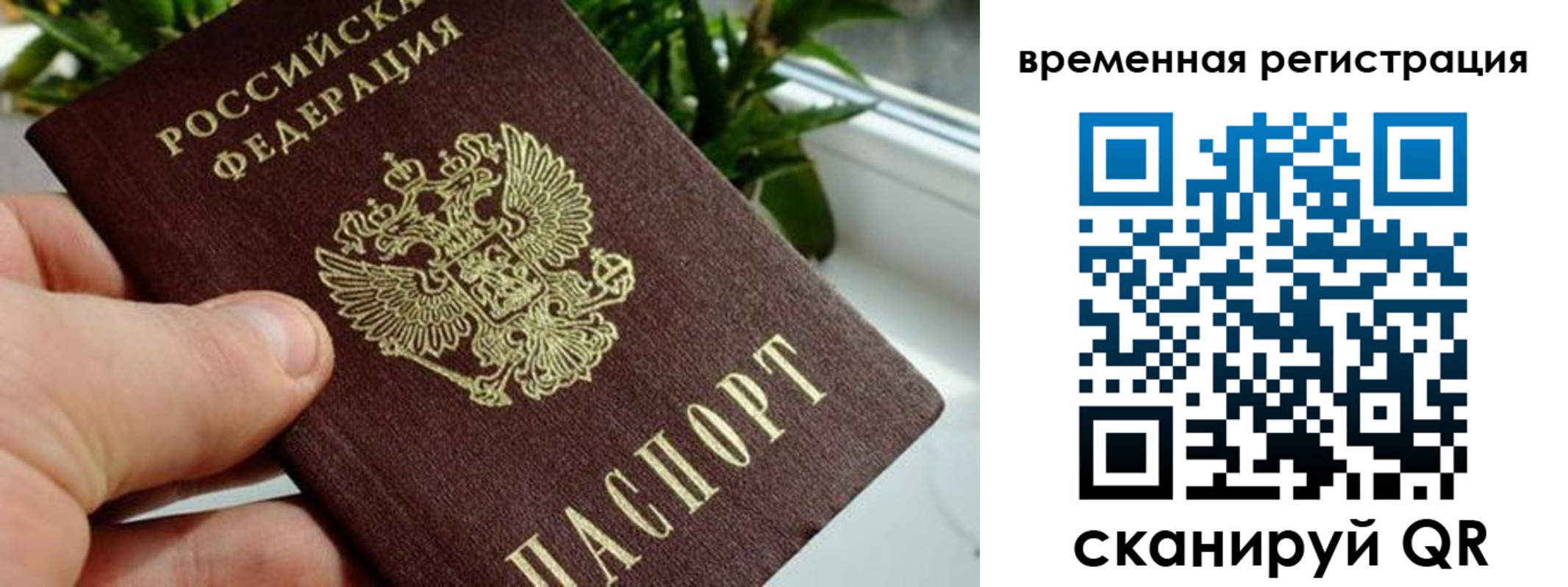 прописка поиск в Коряжме